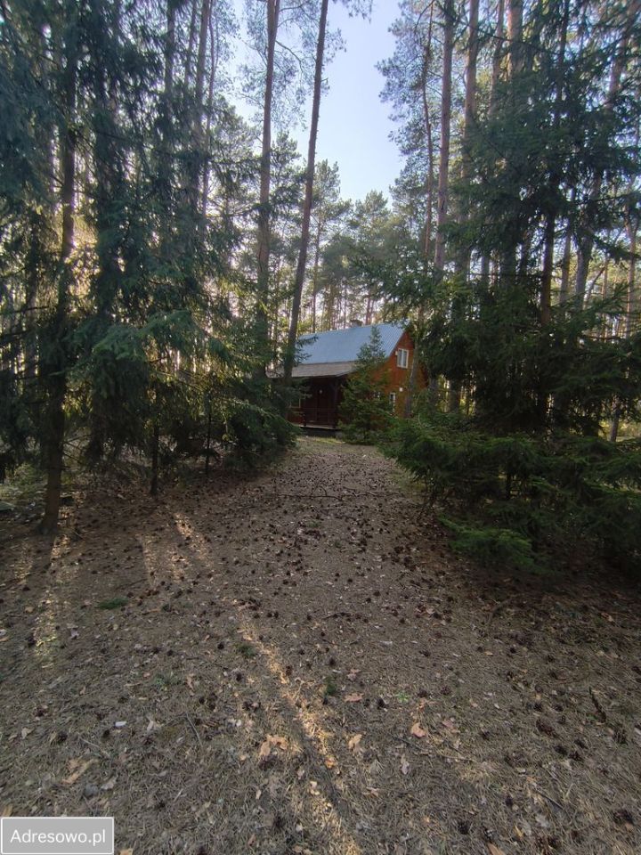 dom letniskowy, 3 pokoje Krajęczyn. Zdjęcie 8