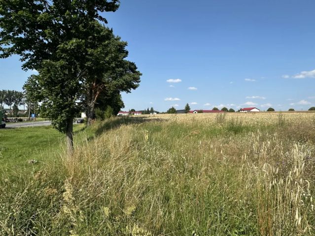 Działka inwestycyjna Kozłowo. Zdjęcie 1