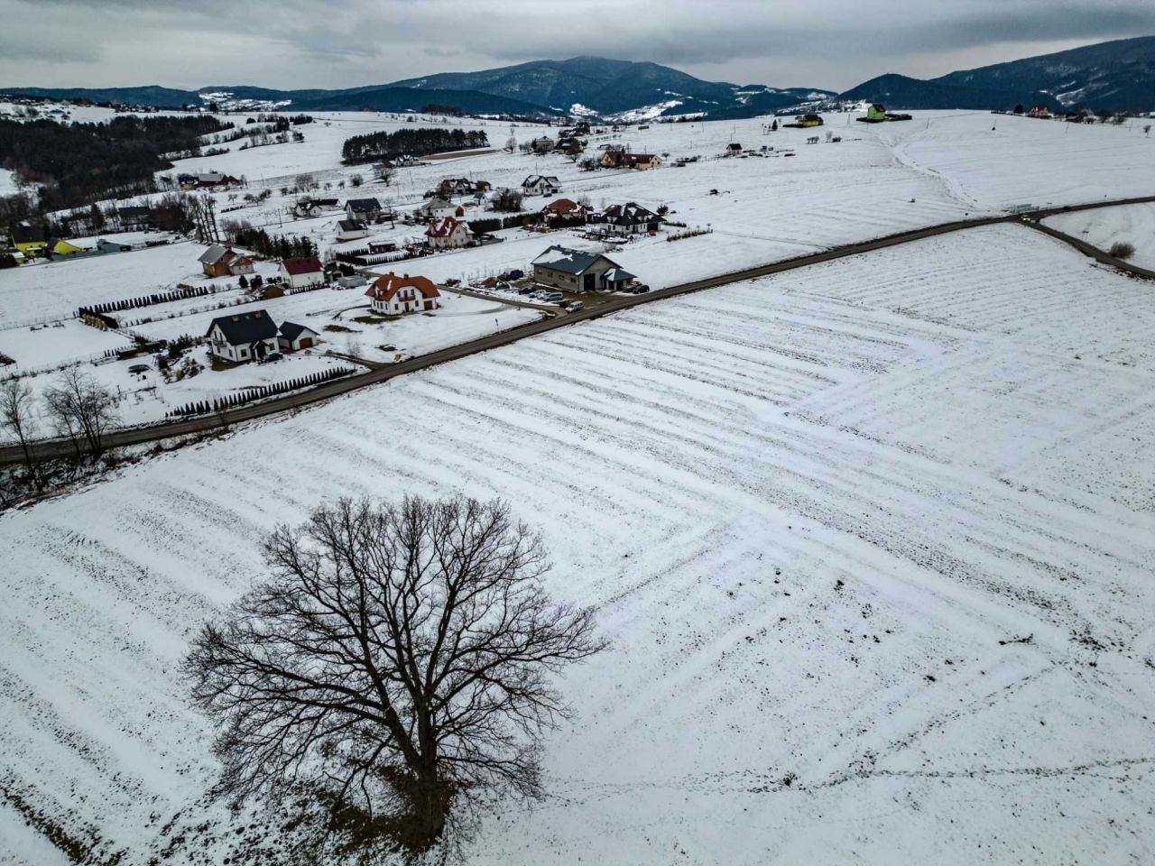 Działka budowlana Lipowe. Zdjęcie 5