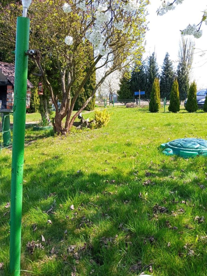 Działka rod Borek Wielkopolski. Zdjęcie 3