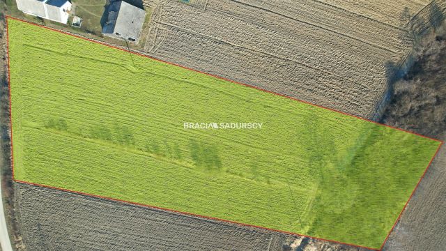 Działka siedliskowa Szczurowa, Popędzyna. Zdjęcie 3