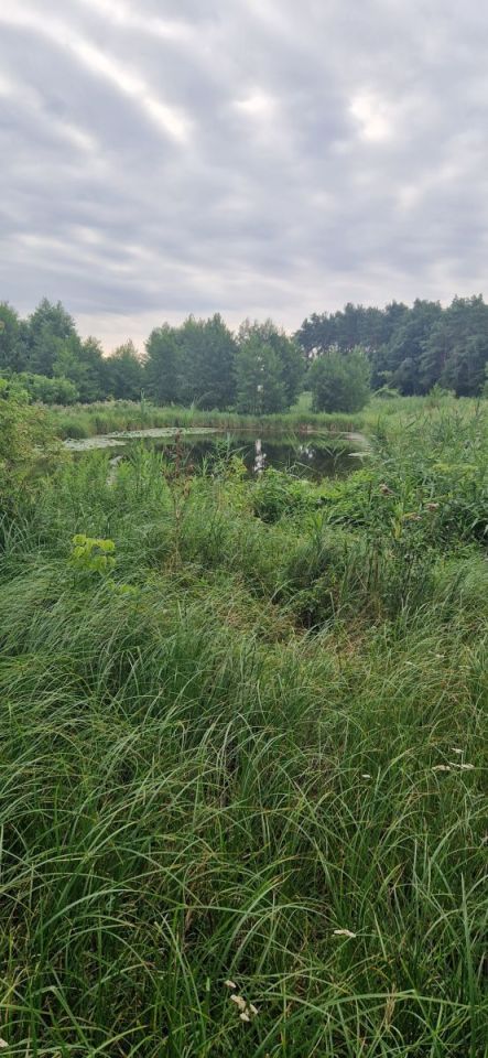 Działka inwestycyjna Wągrowiec. Zdjęcie 4