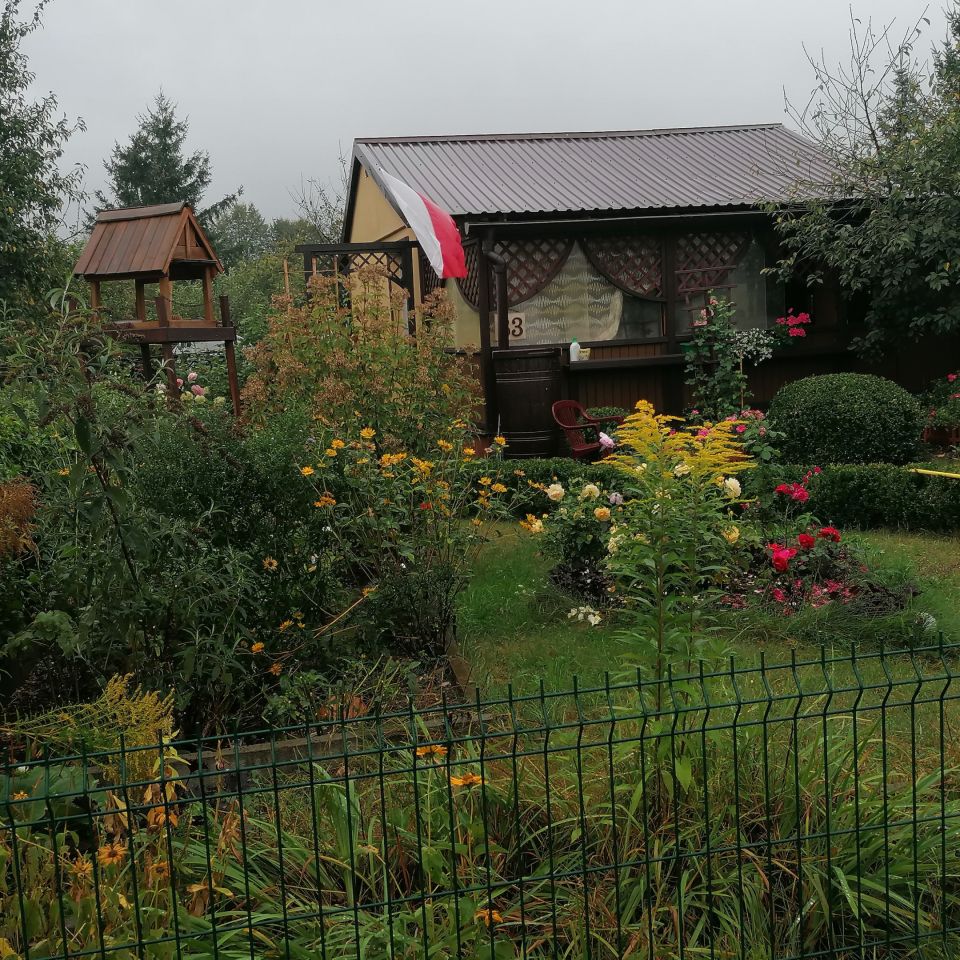 Działka rod Piła, al. Wojska Polskiego. Zdjęcie 9