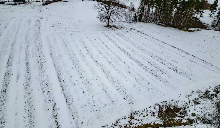 Działka budowlana Lipowe