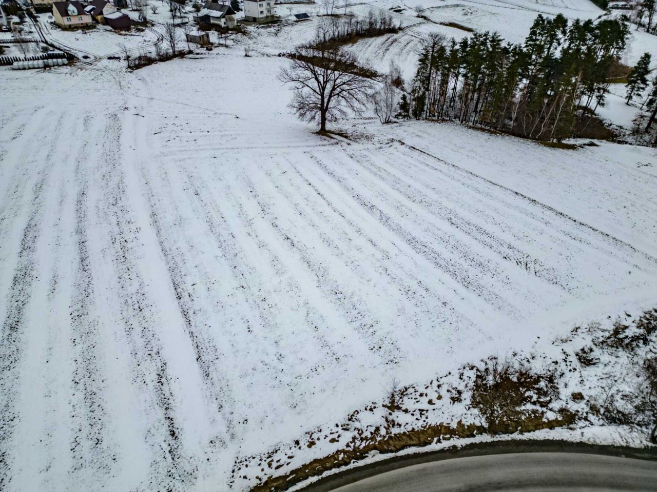 Działka budowlana Lipowe. Zdjęcie 1