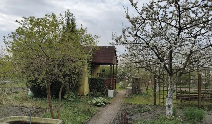 Działka rod Szczecin Zawadzkiego-Klonowica, ul. Modra