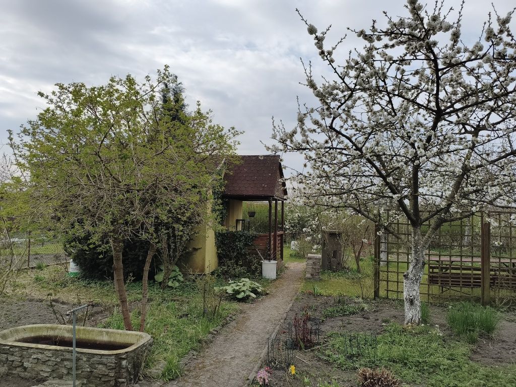 Działka rod Szczecin Zawadzkiego-Klonowica, ul. Modra. Zdjęcie 1