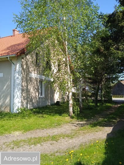 siedlisko Bornity. Zdjęcie 7