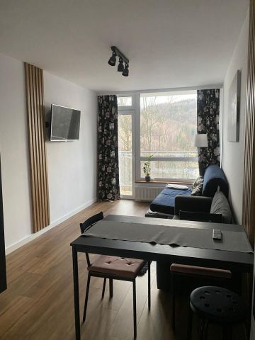 Mieszkanie 1-pokojowe Ustroń Jaszowiec, ul. Wczasowa. Zdjęcie 1