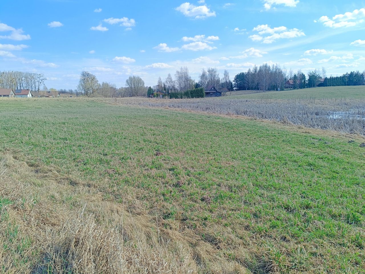 Działka rolno-budowlana Skrzypki. Zdjęcie 2