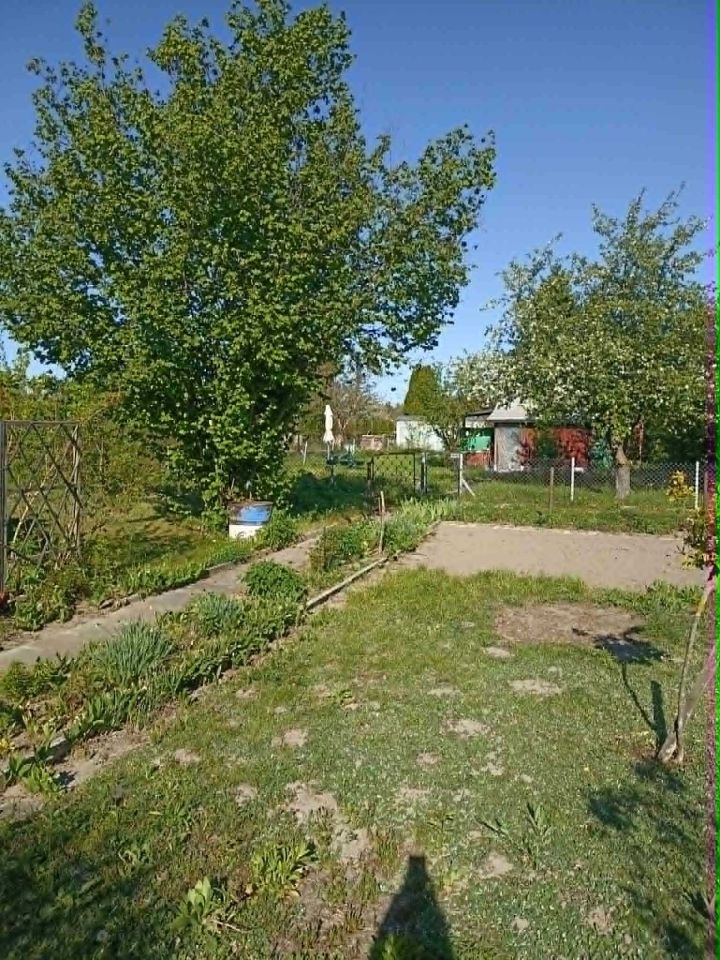 Działka rod Ciechanów. Zdjęcie 8