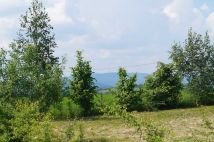 Działka rolno-budowlana Wymysłów. Zdjęcie 3