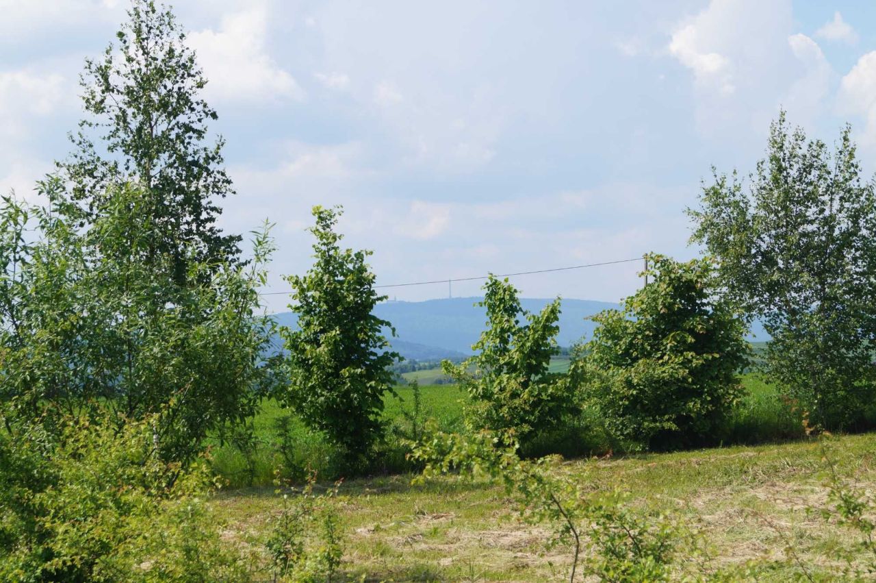 Działka rolno-budowlana Wymysłów. Zdjęcie 4