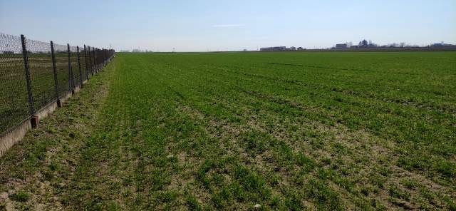 Działka rolno-budowlana Płock Trzepowo, ul. Bielska. Zdjęcie 3