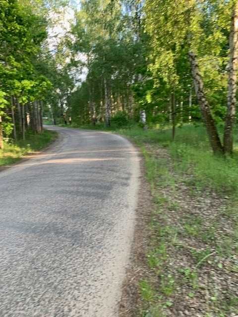 Działka rolna Pilchy. Zdjęcie 3