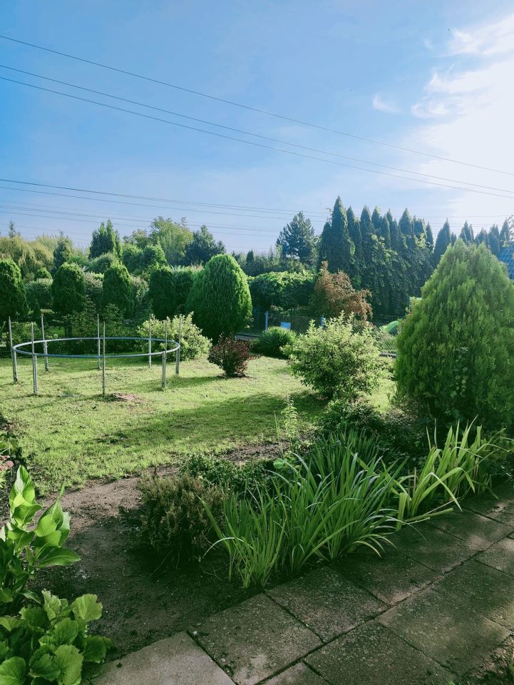 Działka rod Łowicz, ul. Bolimowska. Zdjęcie 4