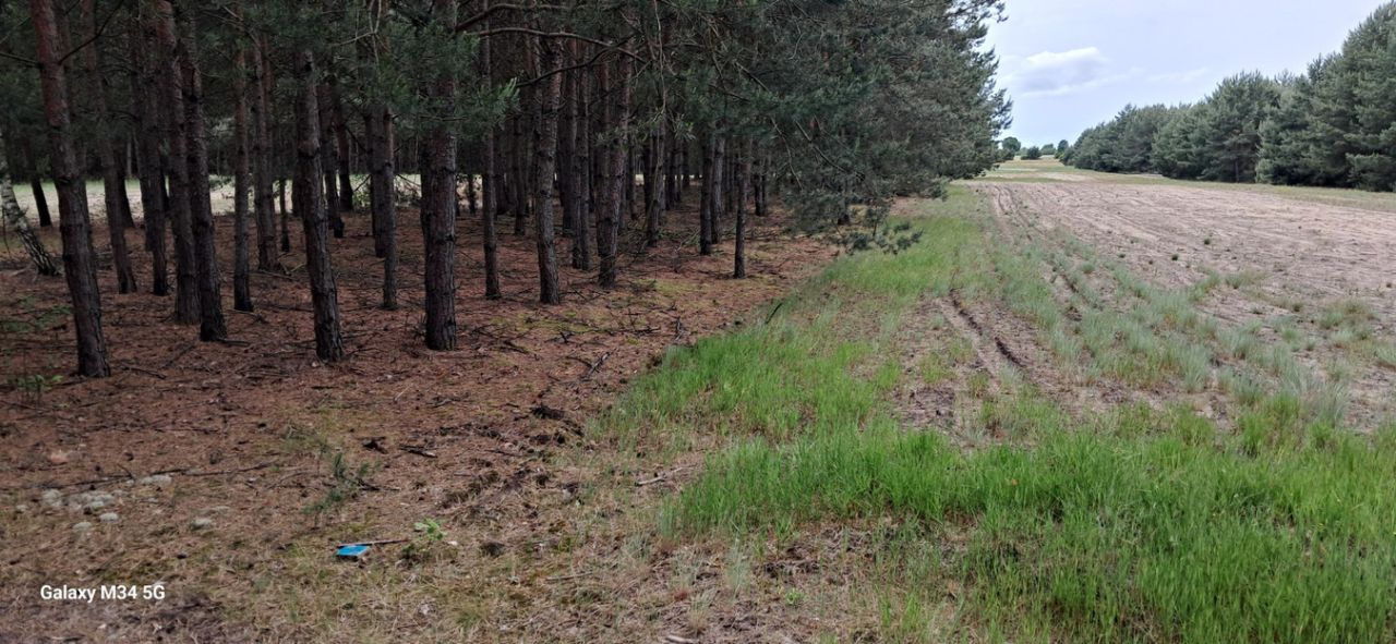 Działka rolna Podmieście. Zdjęcie 6