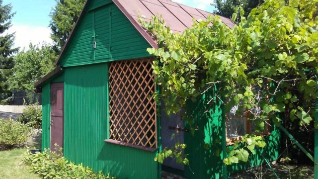 Działka rekreacyjna Siedlce. Zdjęcie 1