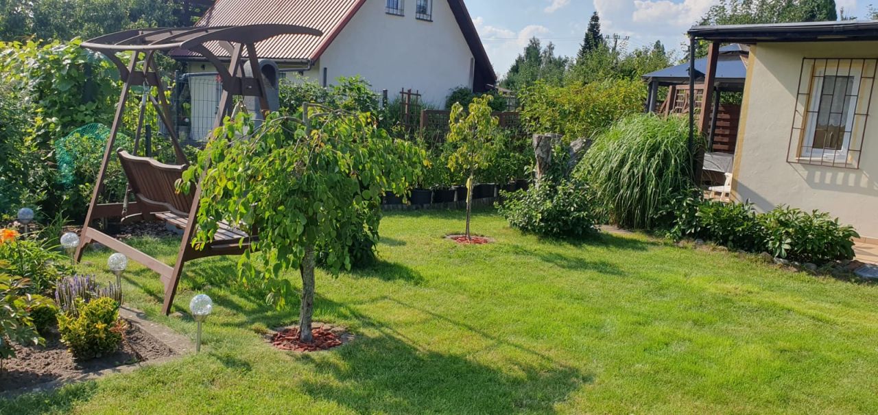 Działka rod Szczecin Pogodno, ul. Janka Muzykanta