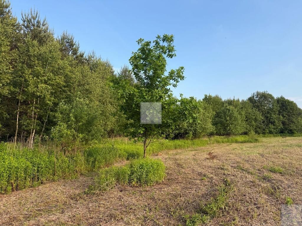 Działka rekreacyjna Radawa, ul. Cienkie. Zdjęcie 8