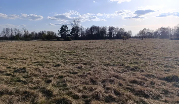 Działka rekreacyjna Boguszków