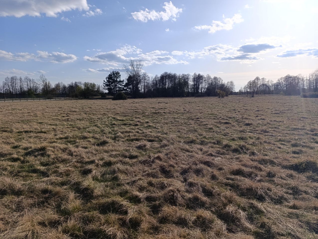 Działka rekreacyjna Boguszków. Zdjęcie 2