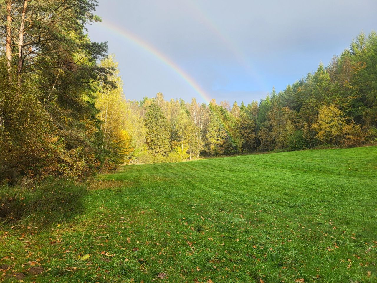Działka siedliskowa Brodnica Górna, ul. Wodociągowa. Zdjęcie 4