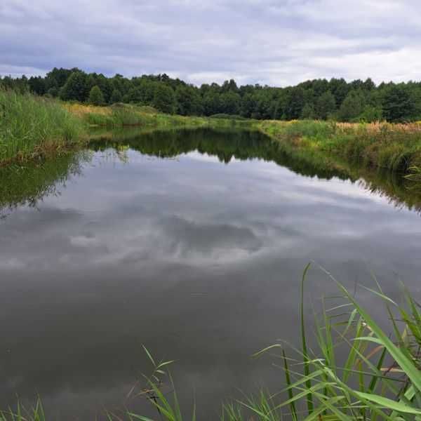 Działka rolna Okołowice. Zdjęcie 1