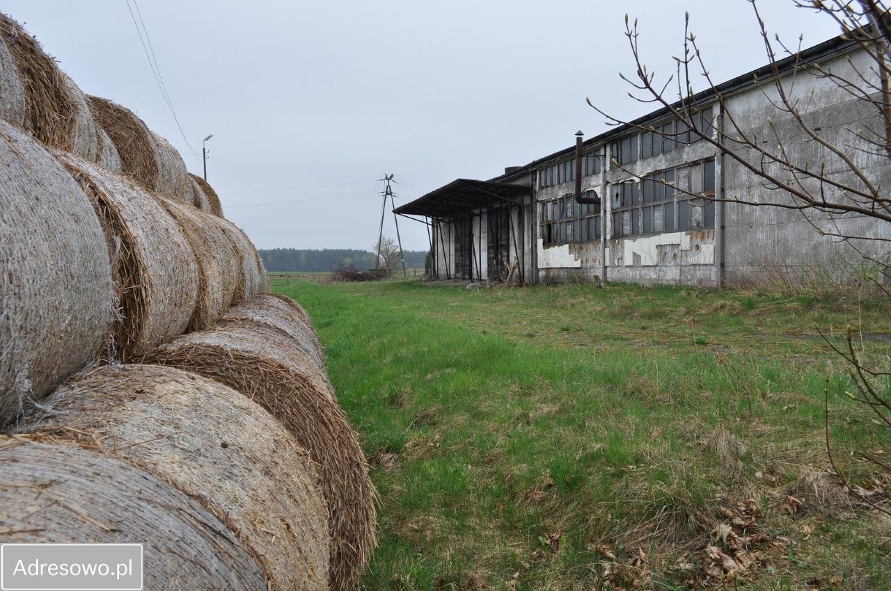 Hala/magazyn Płośnica. Zdjęcie 2