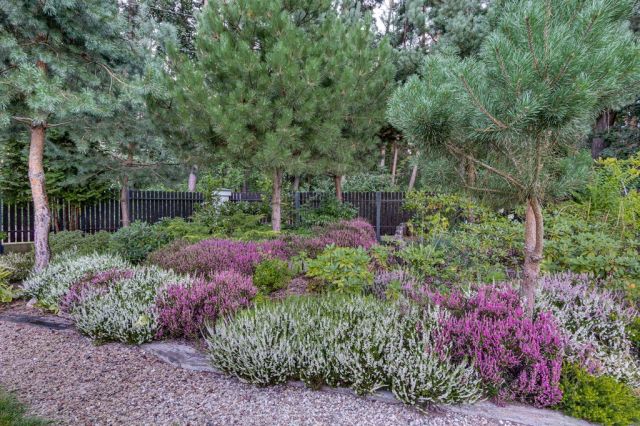 dworek, 6 pokoi Leszno, ul. Leśna. Zdjęcie 12