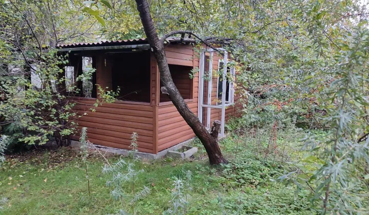 Działka rod Łódź Górna