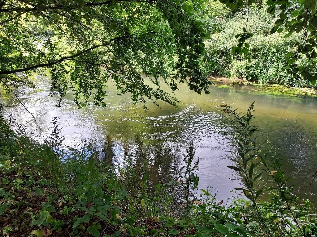 dom wolnostojący, 3 pokoje Skarbka Bidzińszczyzna, Bidizńszczyzna. Zdjęcie 15