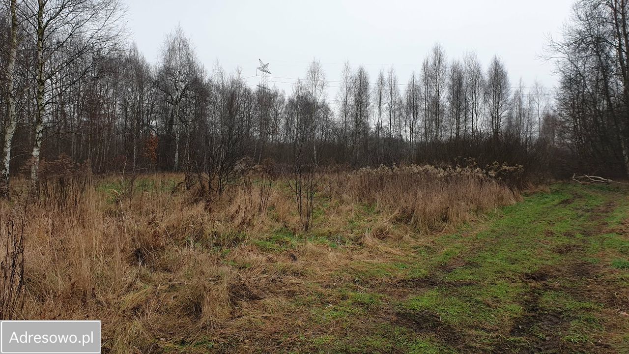 Działka rolna Długa Kościelna, ul. Forsycji. Zdjęcie 3