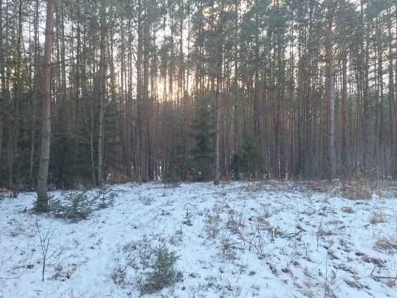 Działka budowlana Krasnobród. Zdjęcie 3