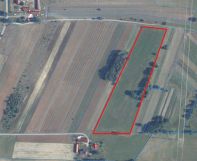 Działka rolna Borki. Zdjęcie 2