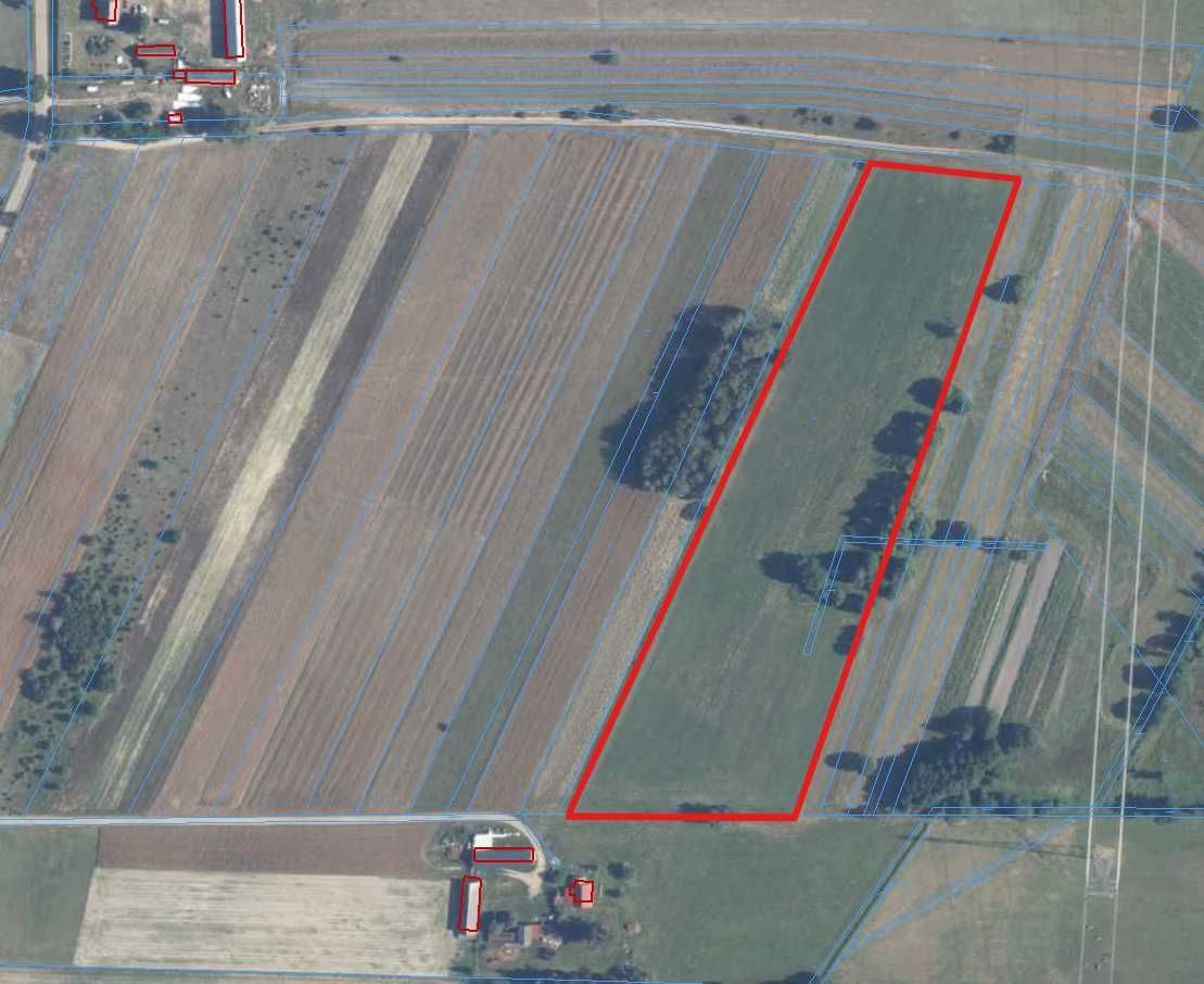 Działka rolna Borki. Zdjęcie 3