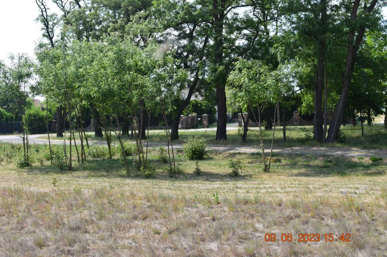 Działka rolna Słubice. Zdjęcie 4