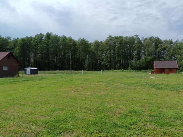 Działka rolno-budowlana Skarchowo. Zdjęcie 1