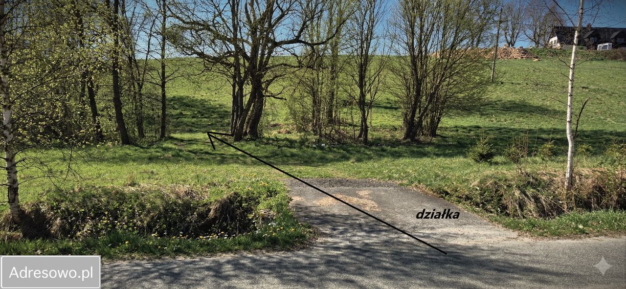 Działka budowlana Jodłów. Zdjęcie 3