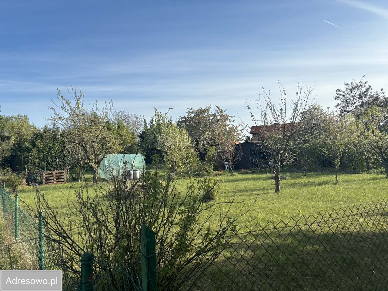 Działka rod Pyrzyce, ul. Niepodległości. Zdjęcie 3