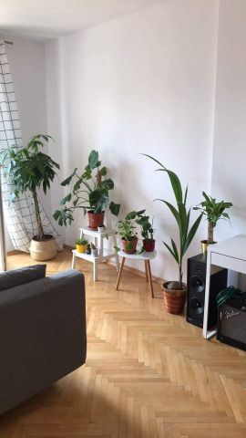 Mieszkanie 2-pokojowe Poznań Dębiec, ul. Kasztanowa. Zdjęcie 1