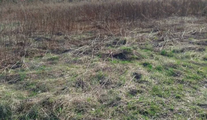 Działka budowlana Chruszczobród, ul. Gawronówka