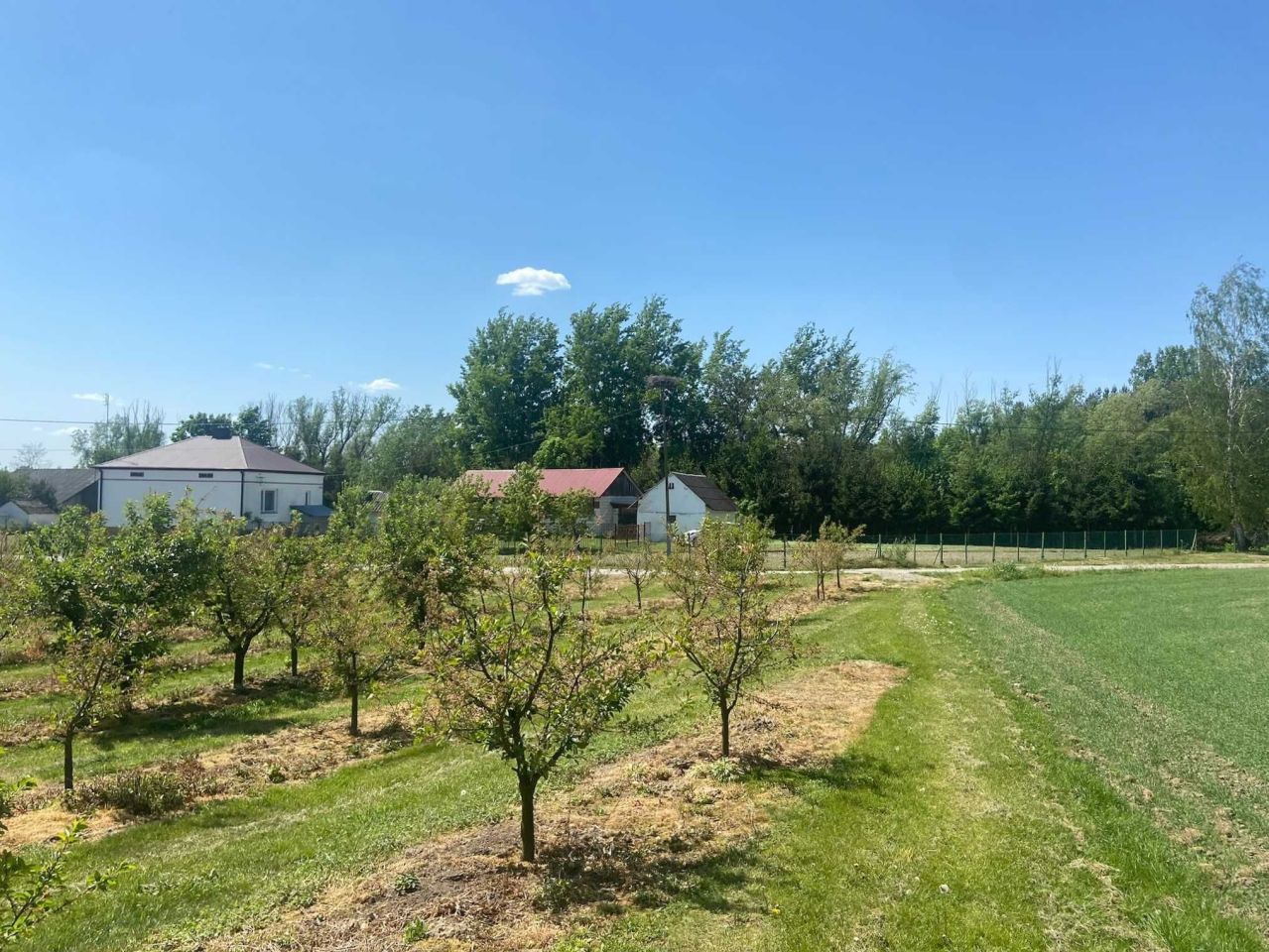 dom wolnostojący Zbigniewice. Zdjęcie 3