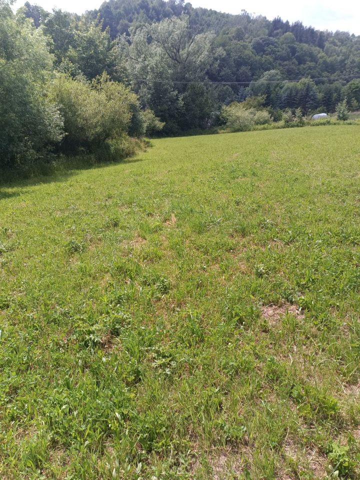 Działka budowlana Przedmieście Dubieckie. Zdjęcie 2