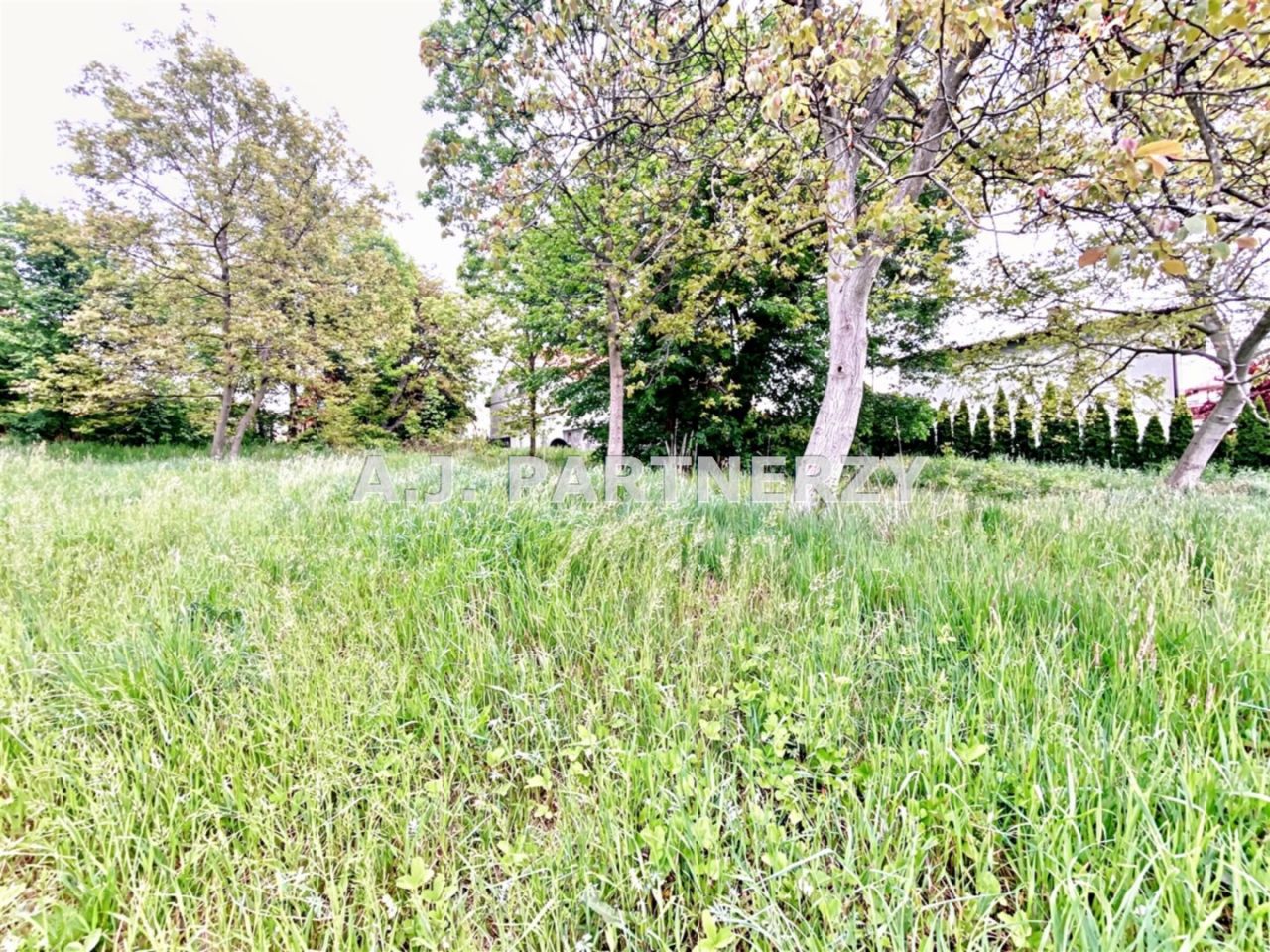 bliźniak, 3 pokoje Grajów. Zdjęcie 22