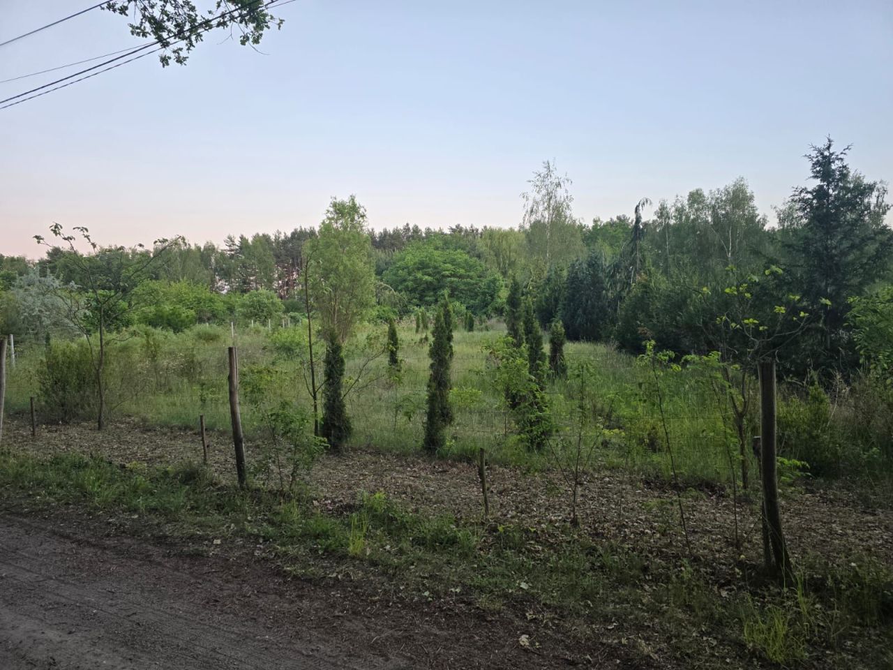 Działka siedliskowa Droszków. Zdjęcie 5