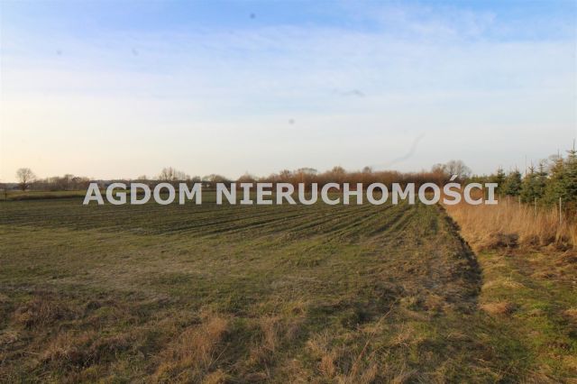 Działka rolna Chełmica Duża. Zdjęcie 1