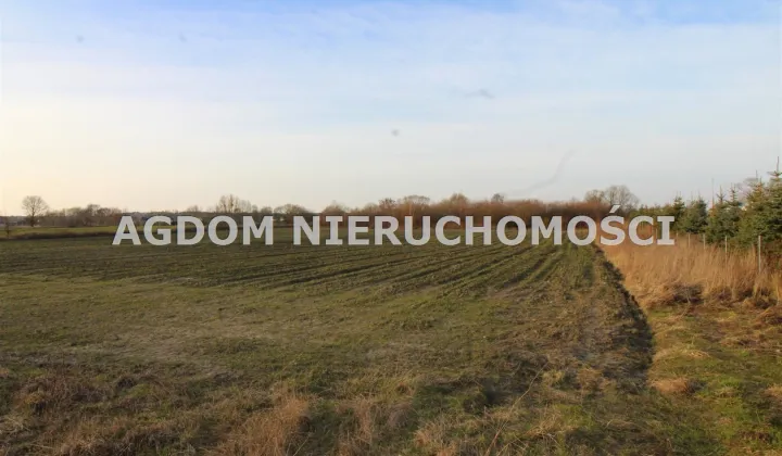 Działka rolna Chełmica Duża