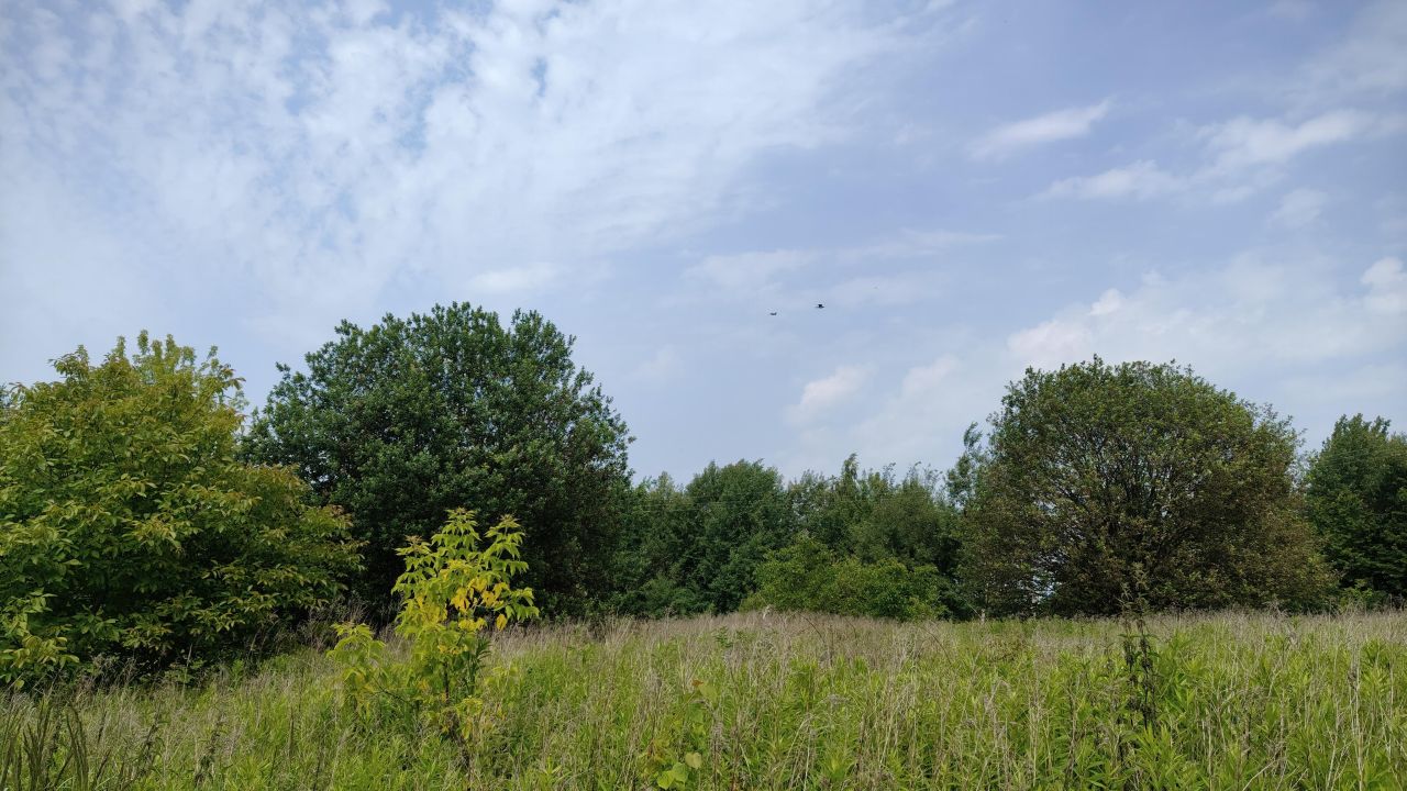 Działka budowlana Jabłonna Pierwsza. Zdjęcie 22
