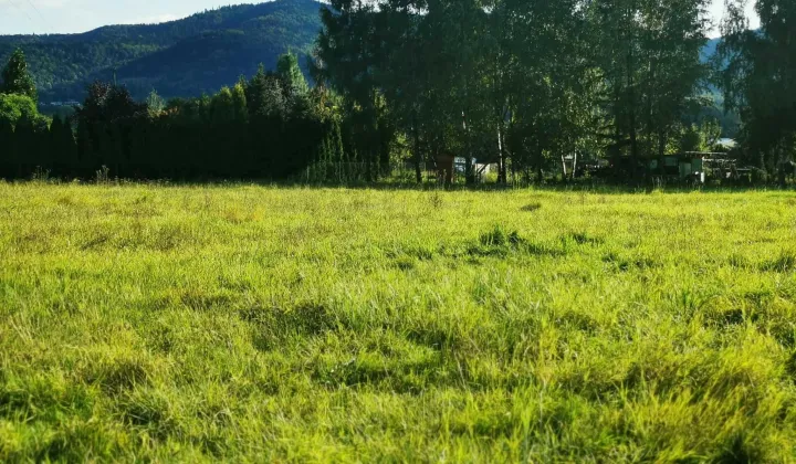 Działka budowlana Czaniec, ul. Górna